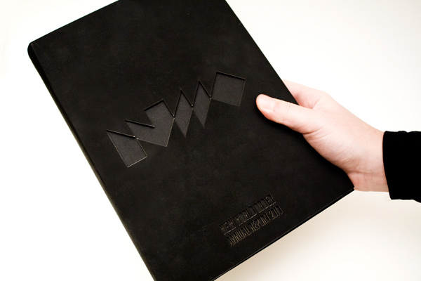 NEW WORLD ORDER 2010年度报告