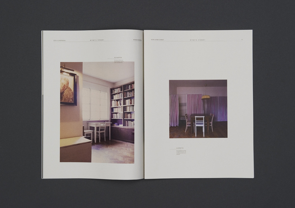 VIENNESE HOUSING CULTURE书籍装帧设计作品欣赏