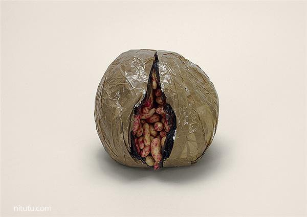 美国女摄影师Taryn Simon摄影作品：违禁品 