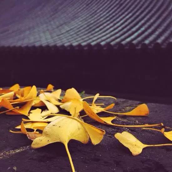 西安终南山古观音禅寺：刹那芳华