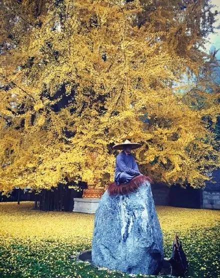 西安终南山古观音禅寺：刹那芳华