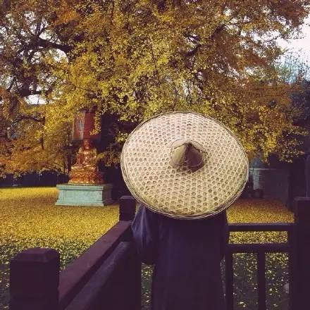 西安终南山古观音禅寺：刹那芳华
