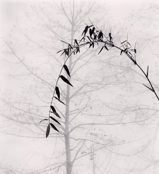 英国摄影师Michael Kenna 水墨中国风景摄影