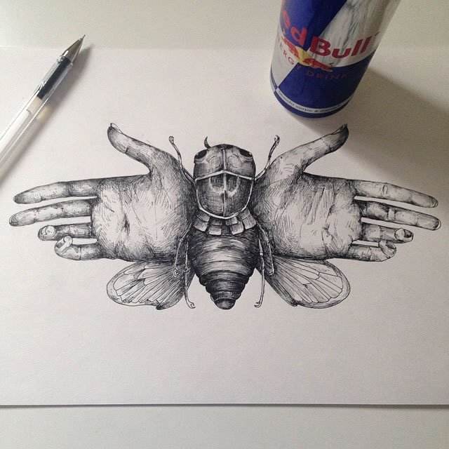 Alfred Basha素描插画