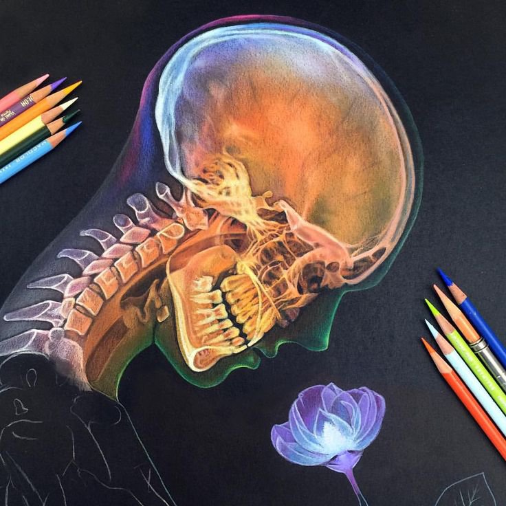 优秀插画作品精选一