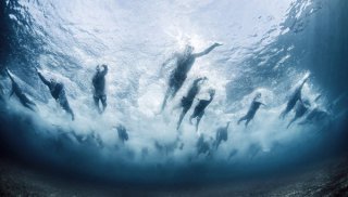 2024年度水下摄影师大赛获奖作品