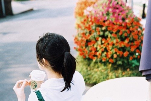 早安心语：心似莲开，清风自来