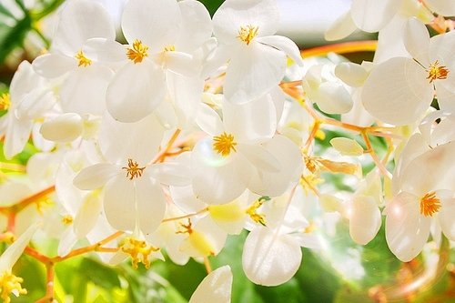 晚安心语：请你善良，无论这世界多冷漠