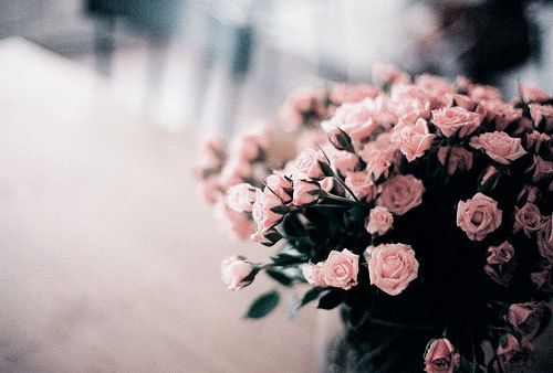 晚安心语：你若爱，生活哪里都可爱
