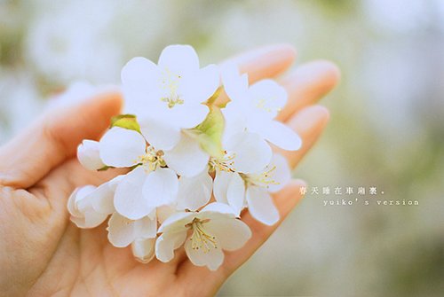 晚安心语：相似的人适合一起欢闹，互补的人适合一起变老