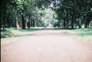有一种旅行，不晒在朋友圈