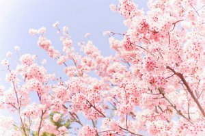 早安心语：人生最清晰的脚印，往往印在最泥泞的路上