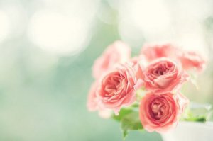 早安心语：一个人怕孤独，两个人怕辜负