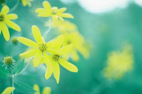 励志文章：相信才会靠近，请成为自己世界里的英雄