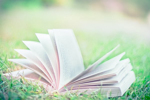 因为好高骛远所以半途而废