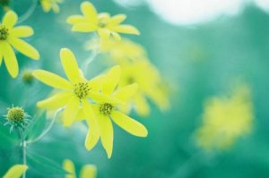 励志文章：相信才会靠近，请成为自己世界里的英雄