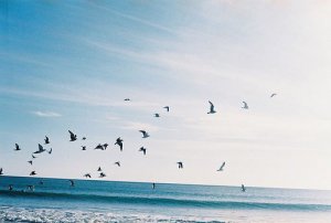 励志文章：拥有梦想的人不做选择题，他们只做证明题