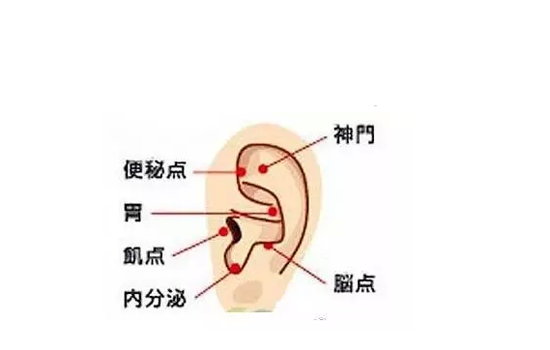 控制食欲变成易瘦体质 分享一天控制食欲计划表