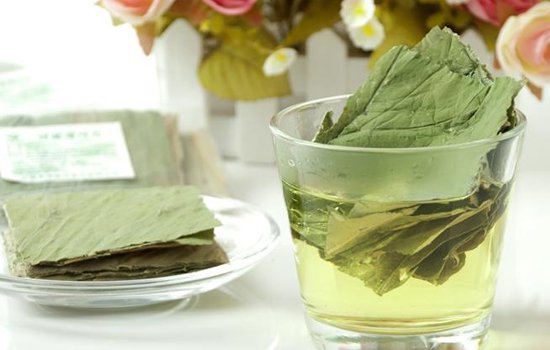 荷叶茶如何制作 自制美颜瘦身荷叶茶