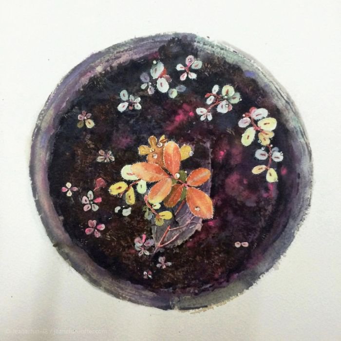 90后画家江南芳 水彩画捕获生活中细微的美
