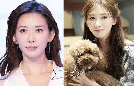 杨幂谢娜林志玲都在留90度刘海 换个刘海颜值逆天