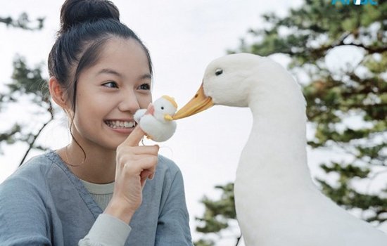 暧昧是什么意思 盘点玩暧昧会出现的那些感觉