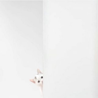 为什么要生二胎？这是我见过最美的答案