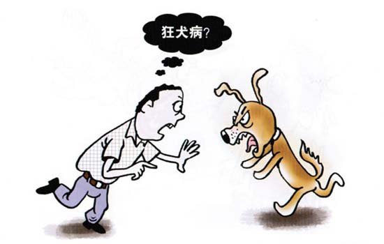 狂犬疫苗副作用有哪些 有什么注意事项