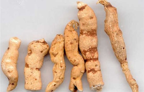 山药不能和什么一起吃 秋冬进补山药但要警惕食物相克