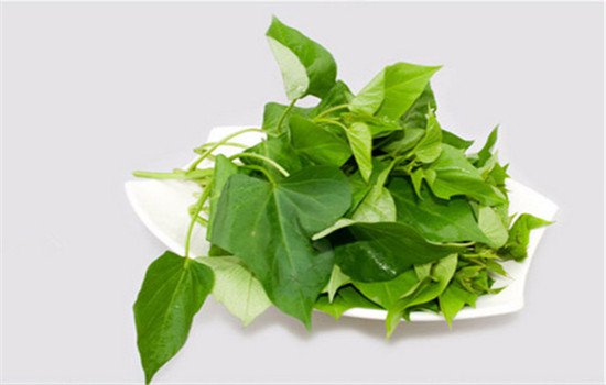 秋季上火便秘怎么办 四种食疗小方法助你解决困扰