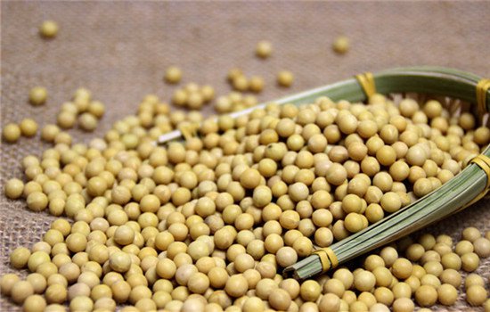 秋季上火便秘怎么办 四种食疗小方法助你解决困扰
