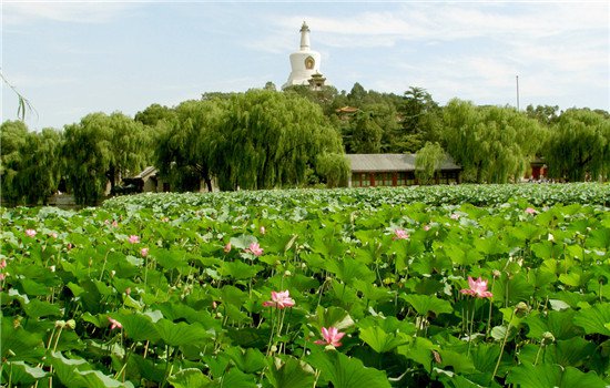 咳嗽按摩哪里立即止咳 咳嗽按摩这7个穴位最好不过