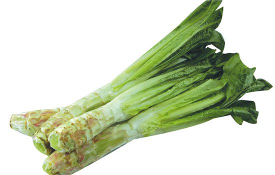 秋季适合吃什么菜 推荐这9种养生蔬菜