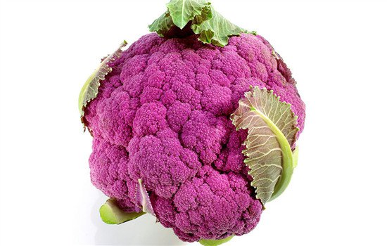养胃的食物 养胃就吃这10种食物