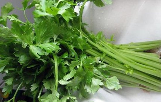 吃芹菜杀精吗 男人吃芹菜是不是杀精子质量