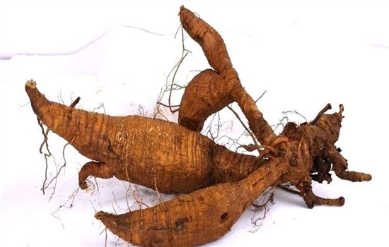 葛根怎么吃 6种不同吃法让你爽翻天