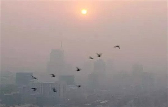 雾霾的危害 雾霾的危害不容小觑