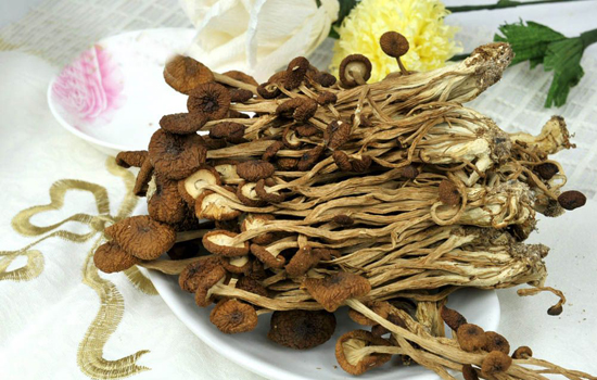 ​孕妇可以吃茶树菇​吗 适量有讲究的食用好处多