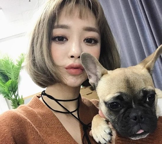 二次元短发女生图片 回头率绝对超高