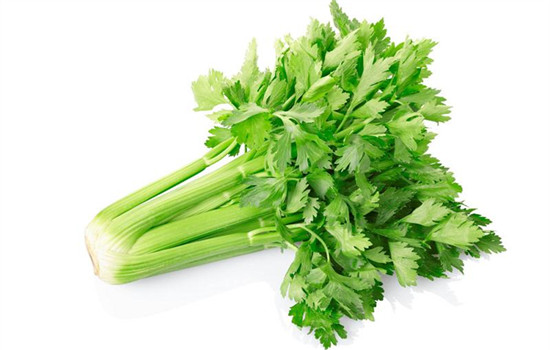暴饮暴食后怎么清肠 7种食物拯救你的肠胃