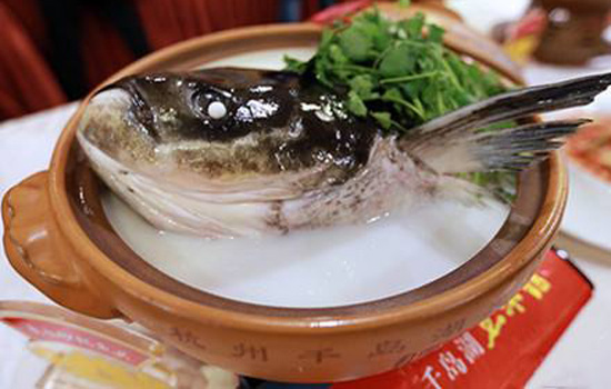 禽流感能吃鱼吗 禽流感不能吃鱼乃无稽之谈