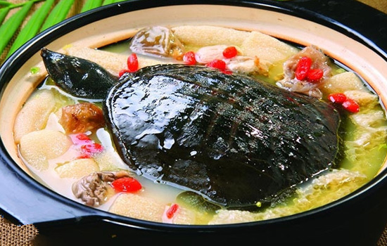 鸭肉不能和什么一起吃 鸭肉搭配有禁忌