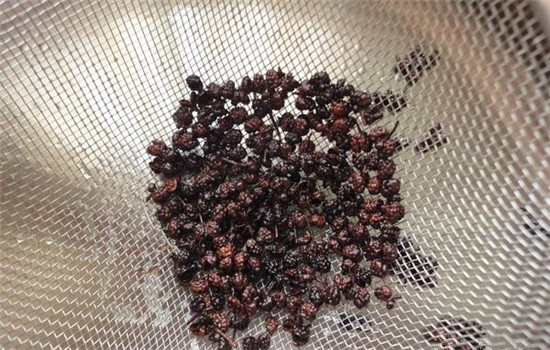 花椒泡酒的功效与作用