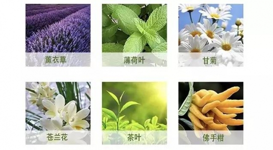 好用的平价精华 一款让人惊艳的平价精华水