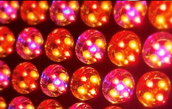 lightstim和大排灯哪个好 剁手要点一定要看