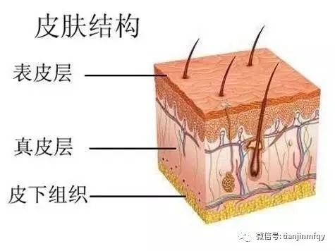 敏感肌肤如何护肤 呵护程度很重要