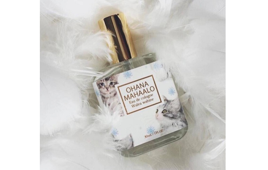 ohana mahaalo哪款好闻 日本小众香氛颜值担当