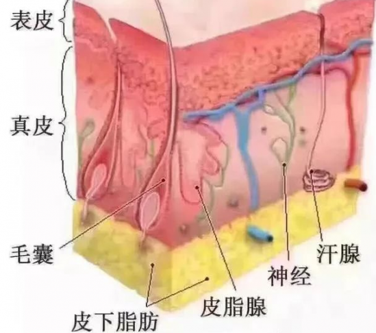 QQ拼音截图20241129175431.png
