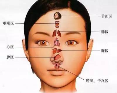 脸与内脏的关系  怎么从脸上就能看出你内脏的毛病