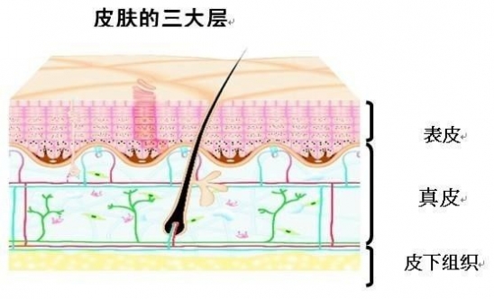去黑头的最好方法 祛黑头的方法大全